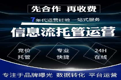 百度推广中的创意策略：成功案例解析与启示